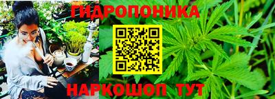apvp Лесосибирск