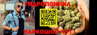apvp Лесосибирск