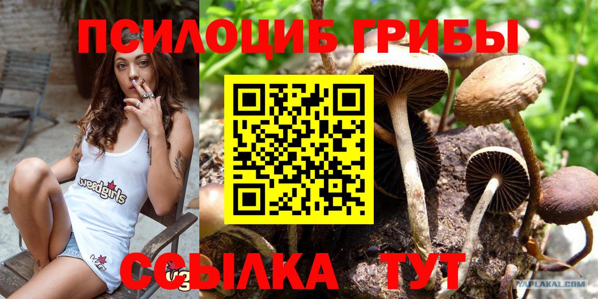 Галлюциногенные грибы MAGIC MUSHROOMS Сосновоборск